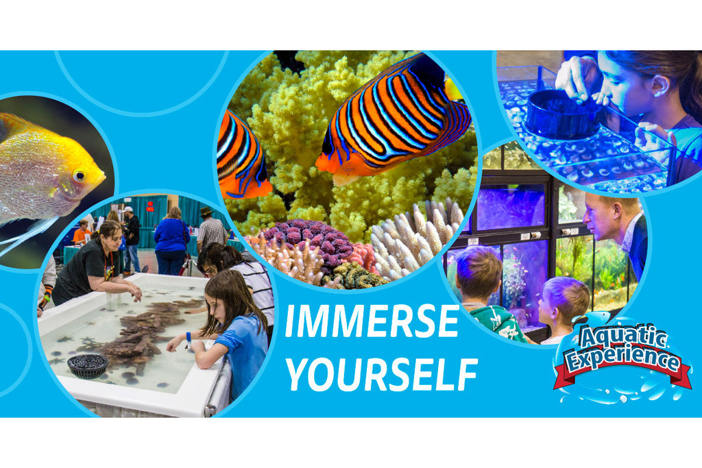 Aquatic Life Attending the Aquatic Experience Show in Chicago November 4-6, 2016
