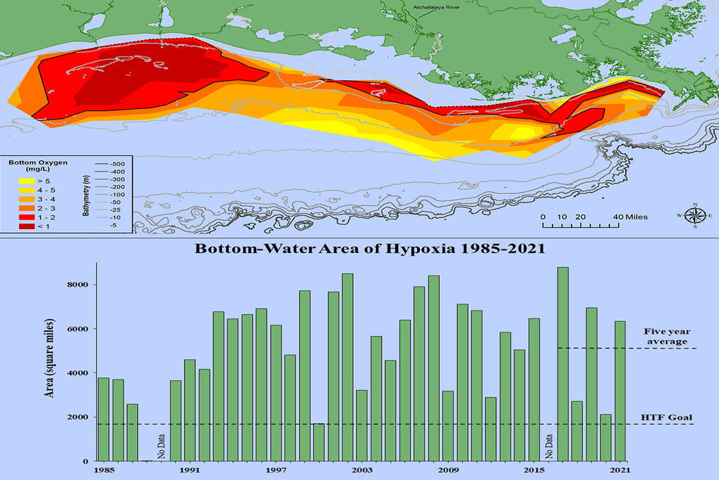 What is an ocean Dead zone?