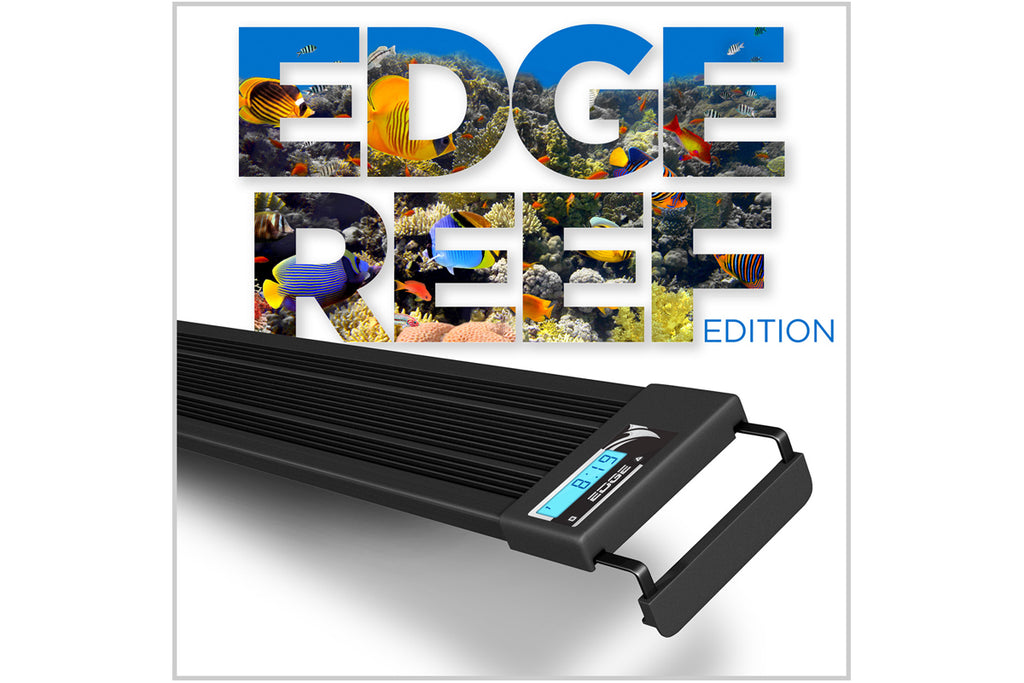 LED Aquarium Lighting: What’s The Pay Off?