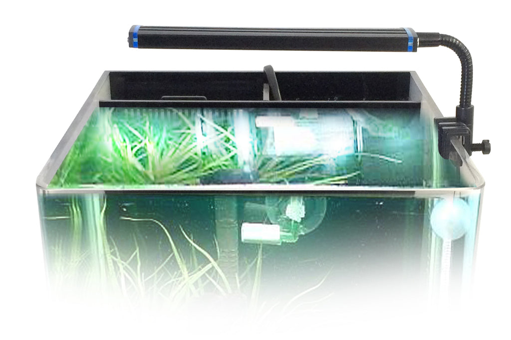 Lighting Considerations for Small Aquariums
