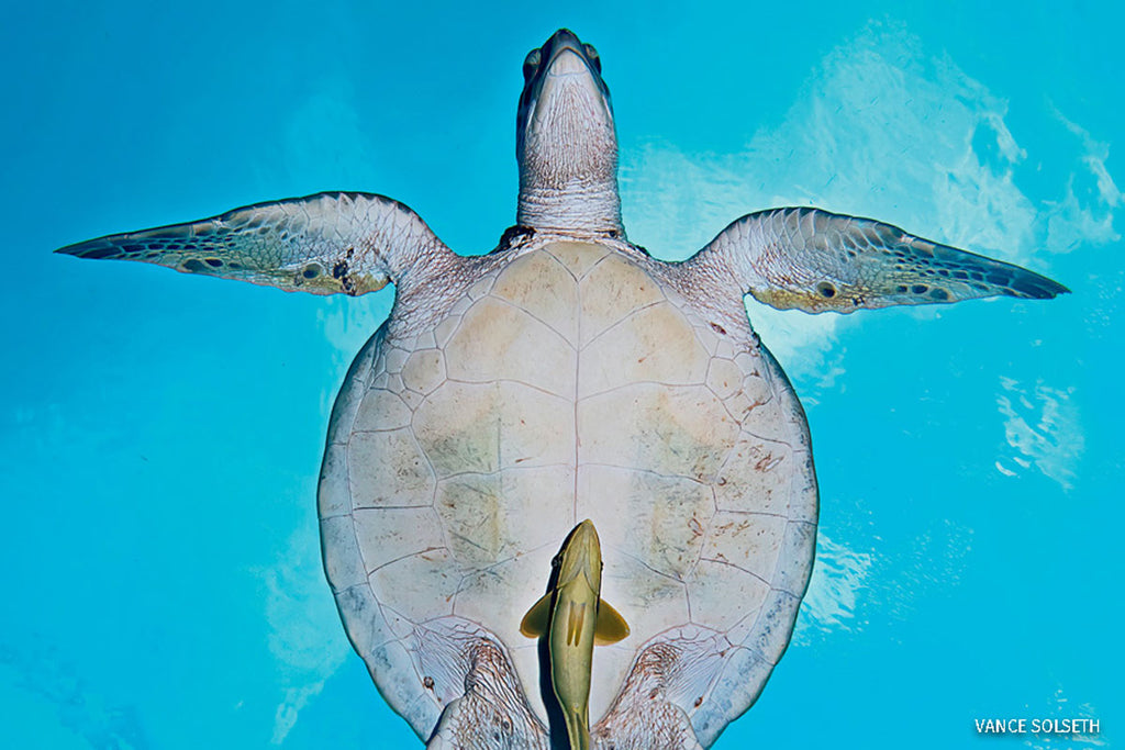 DURING AN "ABSOULTELY PERFECT" DAY...