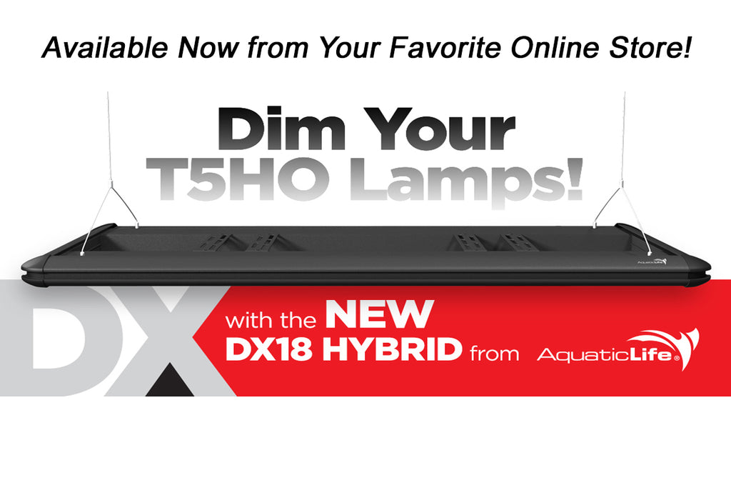 Introducing the Aquatic Life DX18 Hybrid T5HO Dimmable Fixtures in Three Sizes!