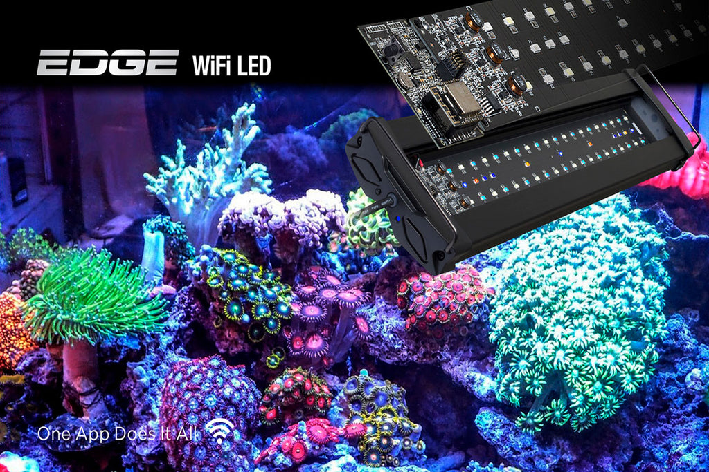 The New Standard in Controllable LED Lighting! Edge Wi-Fi LED Fixtures for Marine & Freshwater Aquariums