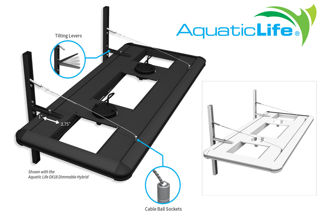 Aquatic Life is Your Light Fixture Hanger Headquarters!